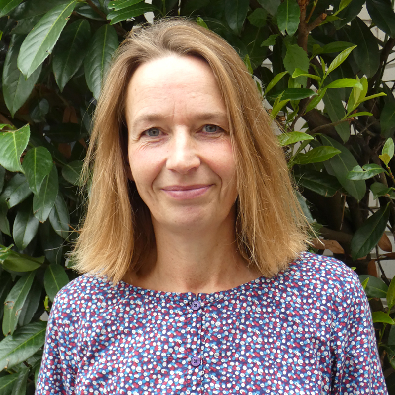 Lehrkraft - freymuth